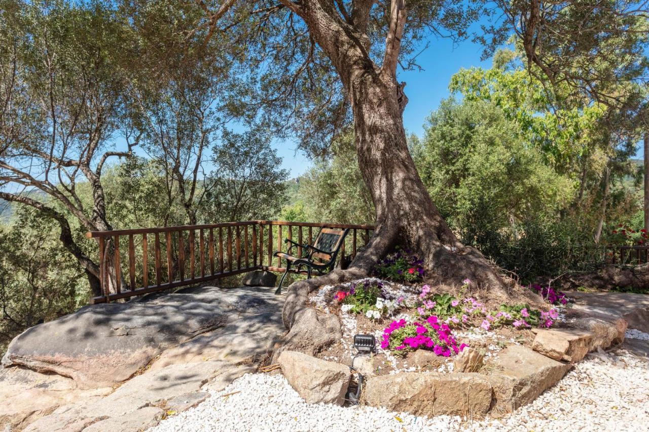 Casa Vacanza Stazzu Saiacciu Palau Exteriör bild