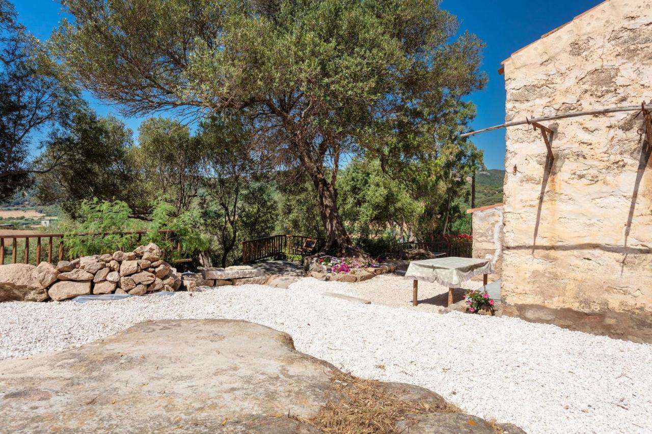 Casa Vacanza Stazzu Saiacciu Palau Exteriör bild